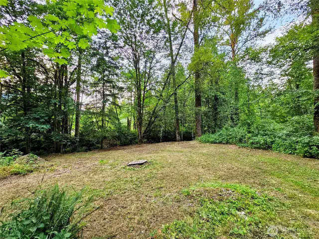 Back area of property next to the creek