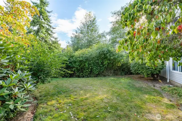 Side yard of building, yard is maintained for you.