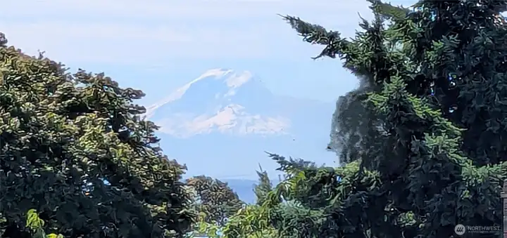 View of Mt Rainier from the kitchen sink