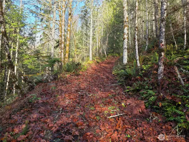 road up to upper site with views
