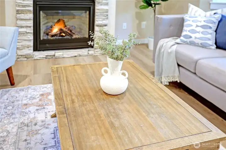 Gorgeous Gas Fireplace