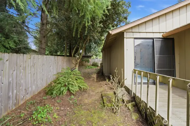 Backyard, fenced