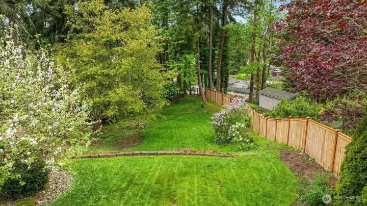 Rear Yard
