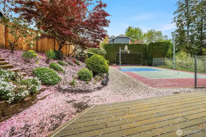Pickleball Court from  Deck