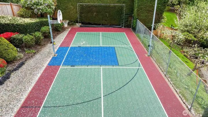 Pickleball Court