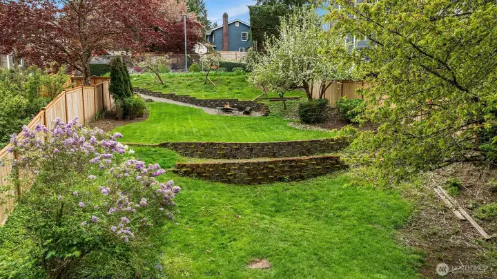 Rear Yard
