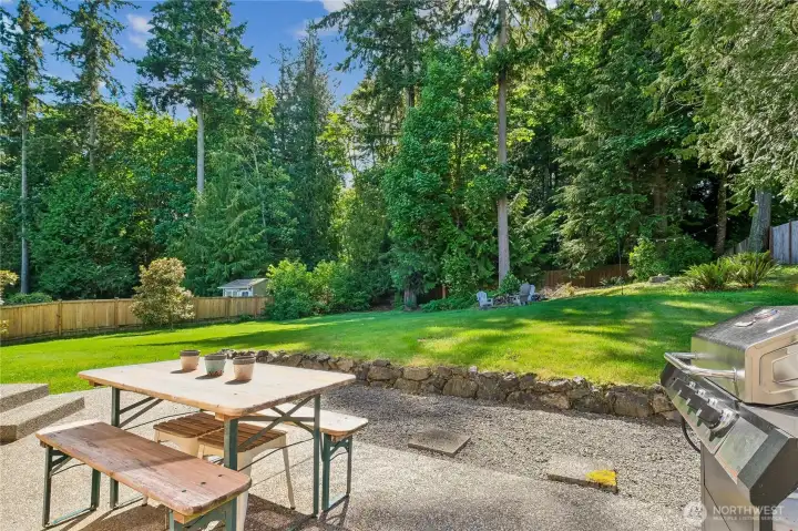 Backyard