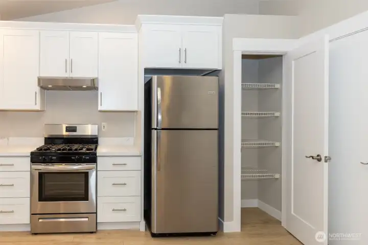 Closer look at the kitchen and pantry
