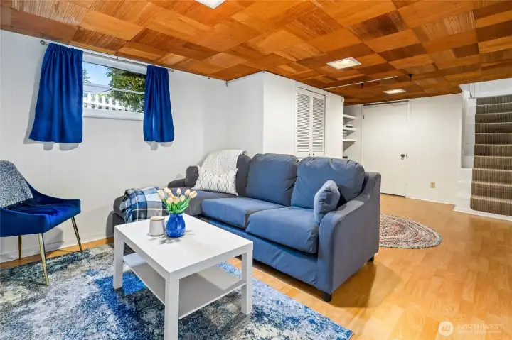 Lower level family room with plenty of space.