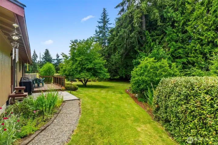 Side yard Side yard