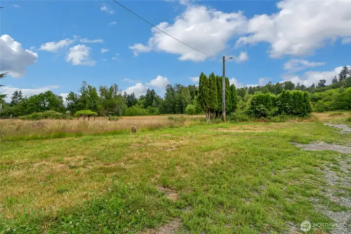 Pasture