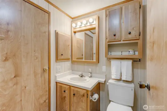 Guest bath has lots of storage