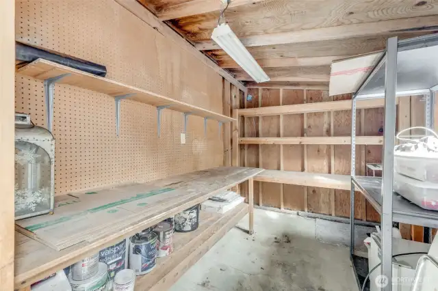 Interior of storage shed has electricity, built in shelving