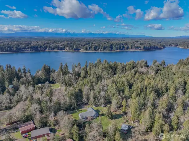 Harstine Beach club is a walk away- lots of places to dock your boat, launch your kayaks and beach comb.