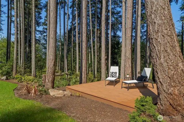 Perfect deck for forest bathing
