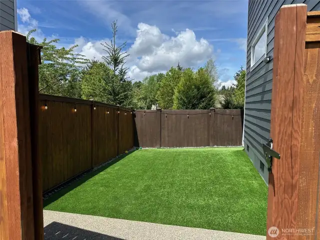Easy maintenance turf backyard.