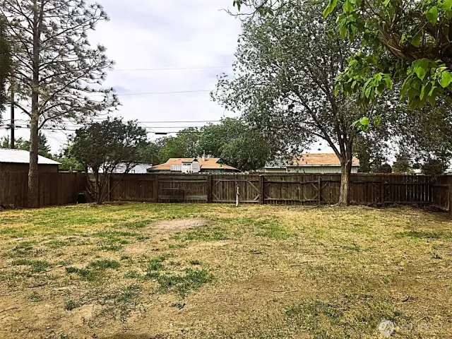 Large backyard