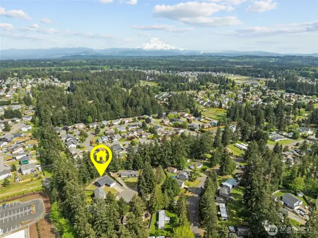 Birds eye view with Mt. Rainier in the background.  Shows all the old growth around the community.  Giving you the PNW scene.