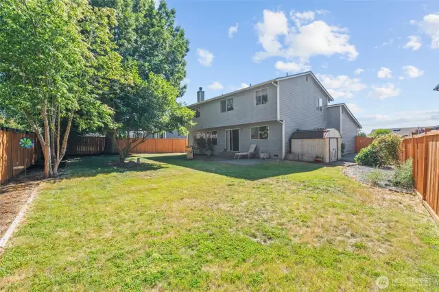 Fully fenced back yard with storage shed.