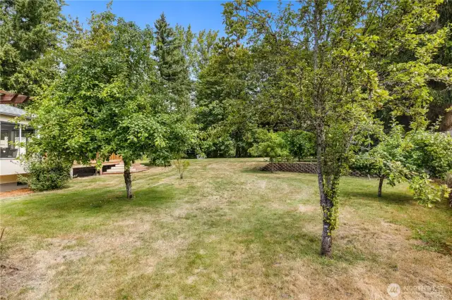 The yard includes an area with multiple fruit-bearing trees.