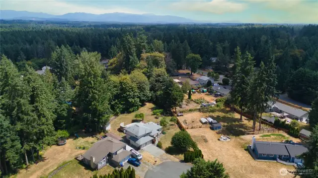 At the edge of the metro region, with easy access to the Cascade Mountains, this semi-rural community is just a 10-12 minute drive to services in Covington and Auburn, and to outdoor fun at Flaming Geyser State Park. It's a wonderful Pacific Northwest location!