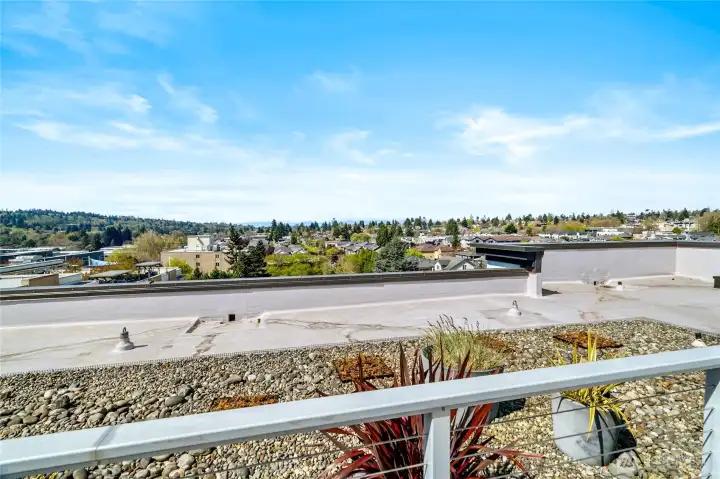 View from Rooftop Deck