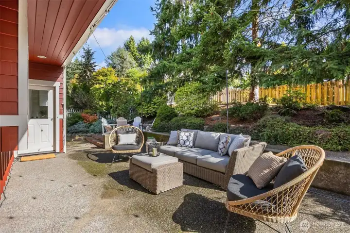 The back gardens.