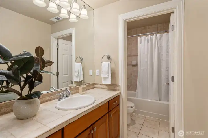 The full bath on the lower level, adjacent to the 'guest' room.