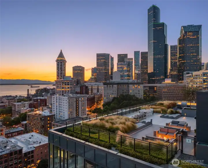 Downtown and Sound views from the roof