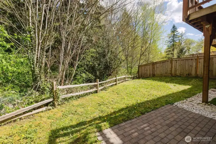 Back yard on green belt