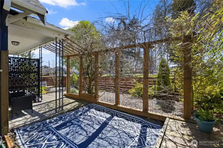 Outdoor rug for extra patio space - included in sale