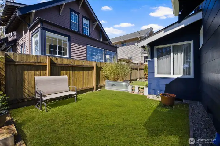 Verdant lawn in the sun drenched side yard