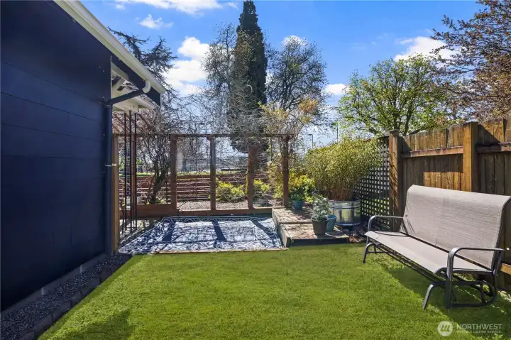 Tree top views of Clark park
