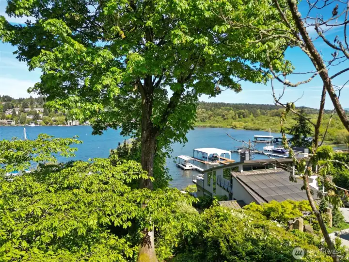 Gorgeous View from ground floor deck. Could be even bigger by trimming up foliage and looking into tree removal, if desired.