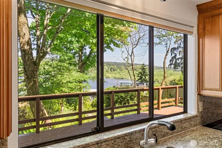 Views from Kitchen