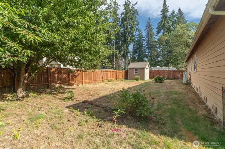 This side of the yard is your garden or dog run.