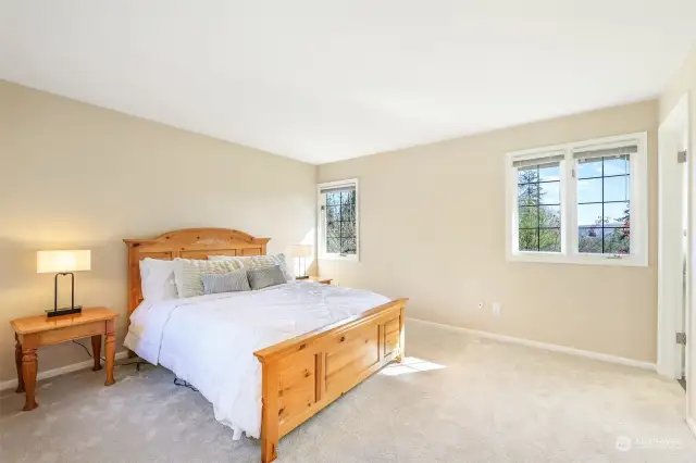Additional large bedroom with connected bathroom!
