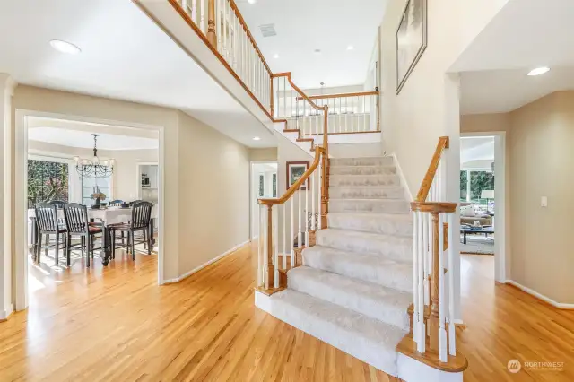 Light-filled entry with beautiful hardwood floors throughout the first floor.