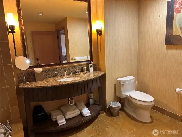 Spa Like Bathroom