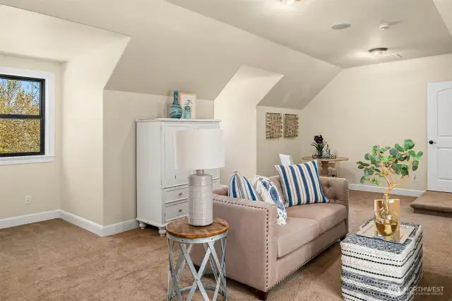 Rec room adjacent to bedroom and bath ideal for long term stays.