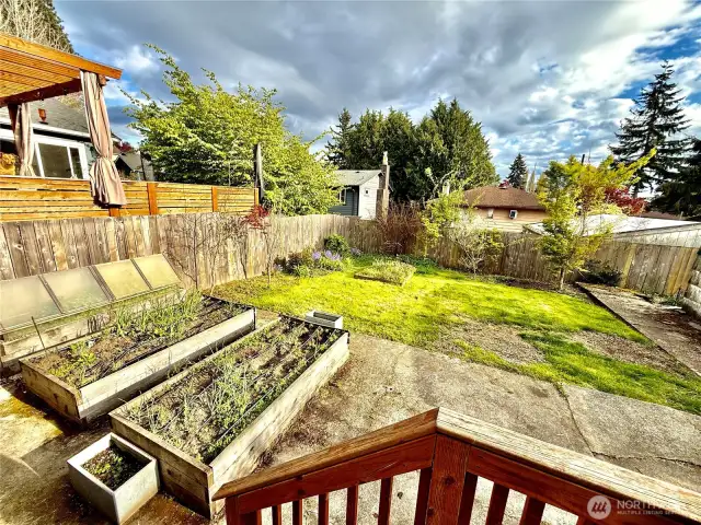 Backyard from deck