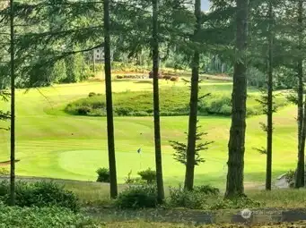 9 hole golf course