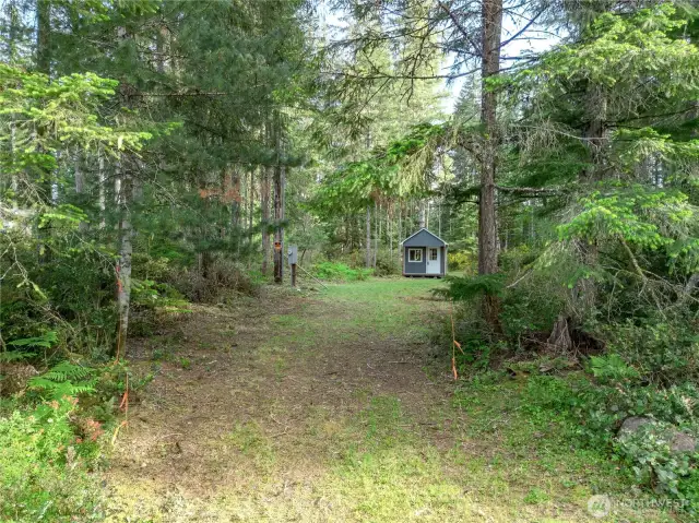 Driveway