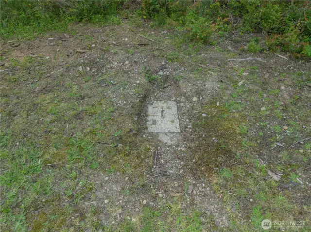 Septic lid