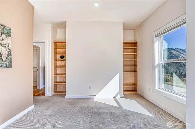 Built in bookcases