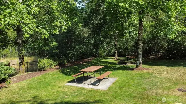community picnic area