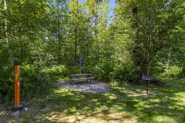 One of the finished camping areas and trail through the trees