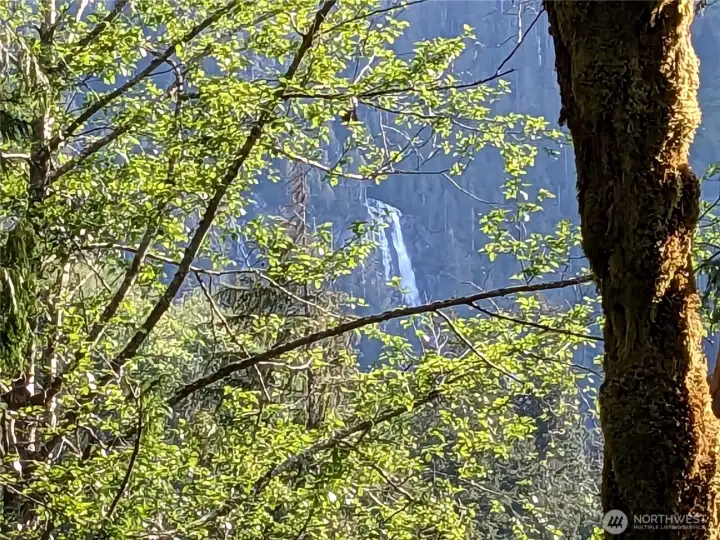 The falls