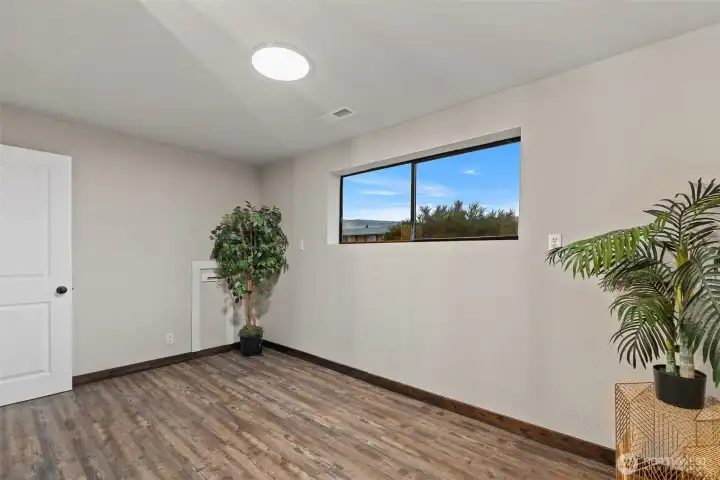 Lower level bedroom 2