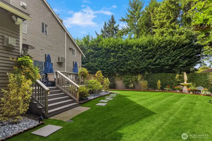 Manicured back yard